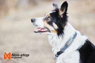 NON-STOP CRUISE COLLAR SVART
