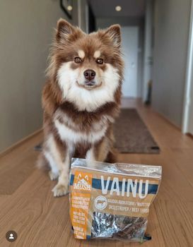 Hovedbilde Godbiter til hund