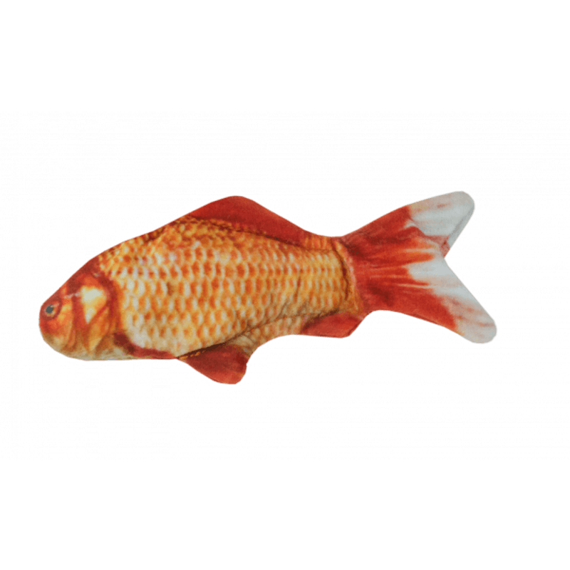 WILD LIFE CAT GOLDFISH