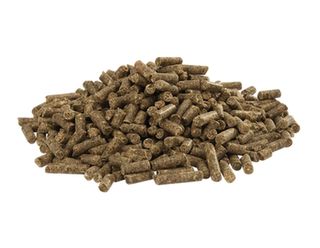 COUNTRIES BEST CUNI FIT PLUS 20KG