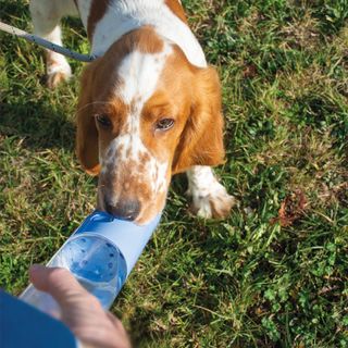 DUVO+ DRIKKEFLASKE 450ML BLÅ