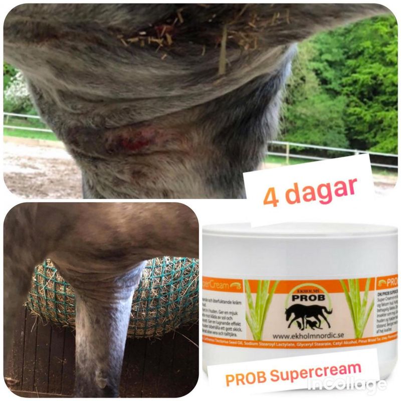 EKHOLMS PROB SUPERKREM 100ml
