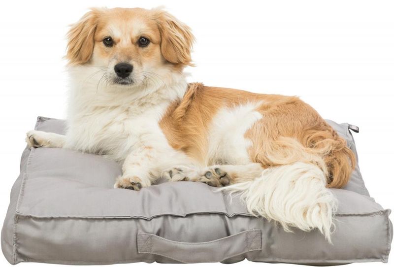 HUNDE/KATTEPUTE FELIA 55X55CM