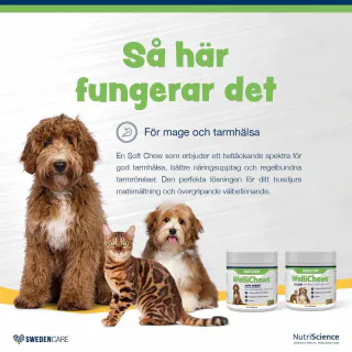 Wellichews Digestion Small Dog/cat