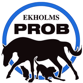 EKHOLMS PROB SALVE 140ml