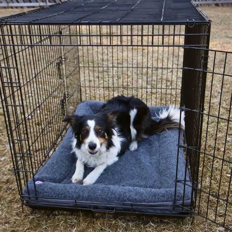 CANELANA BURMADRASS I ULL M/KANT 