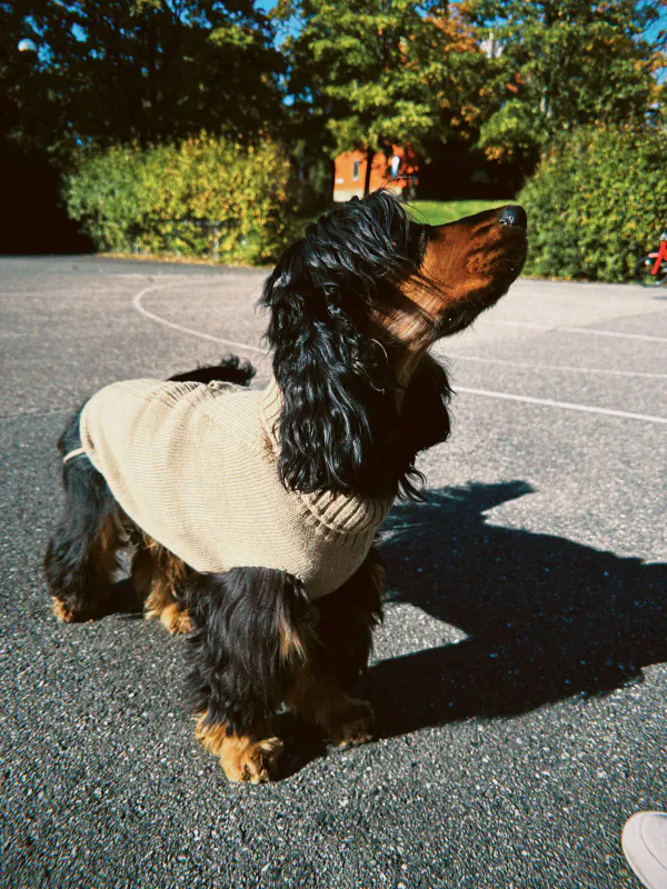 Yakatass Genser Beige