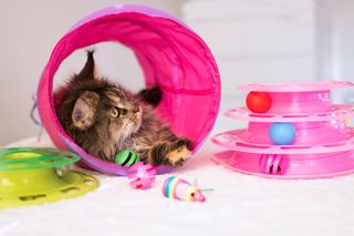 ROSA TUNNEL TIL KATT