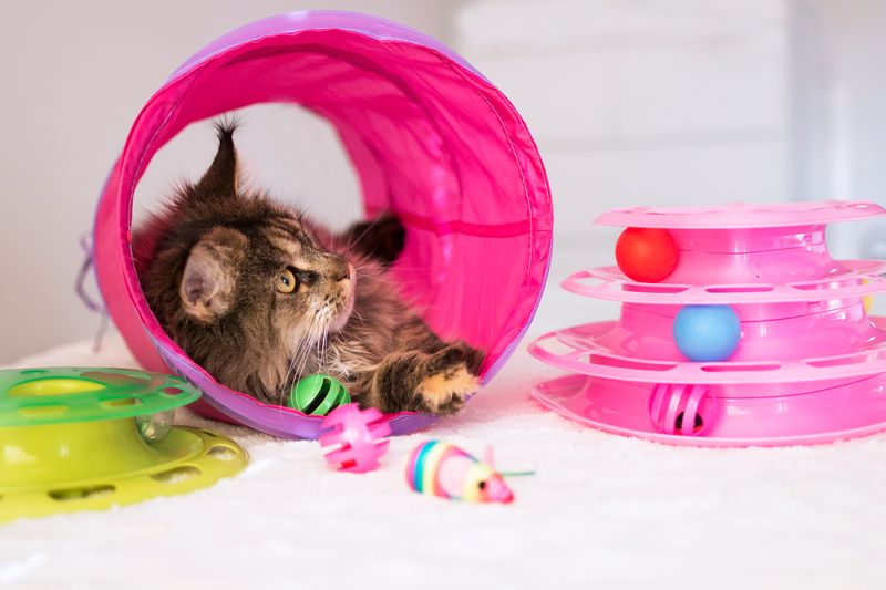 ROSA TUNNEL TIL KATT