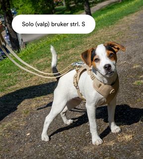 Yakatass bånd 