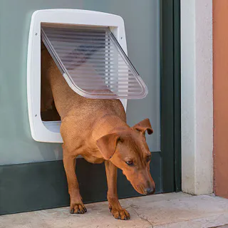 FERPLAST SWING 11 DOG FLAP