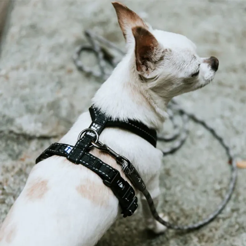 HURTTA CASUAL Y-HARNESS RAVEN