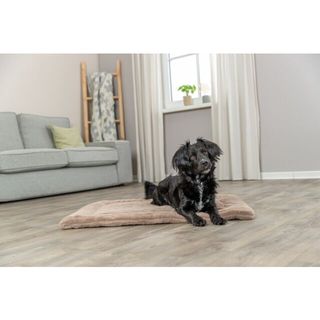 LONNI MADRASS BEIGE