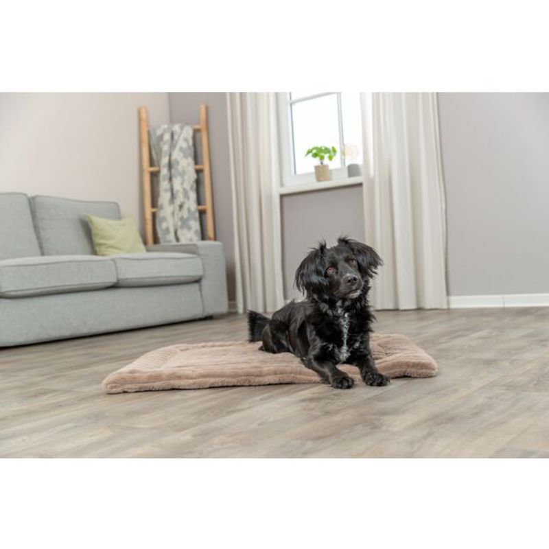 LONNI MADRASS BEIGE