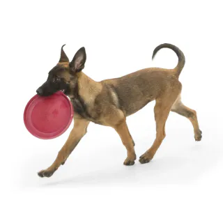 WEST PAW ZISC - SMALL RED