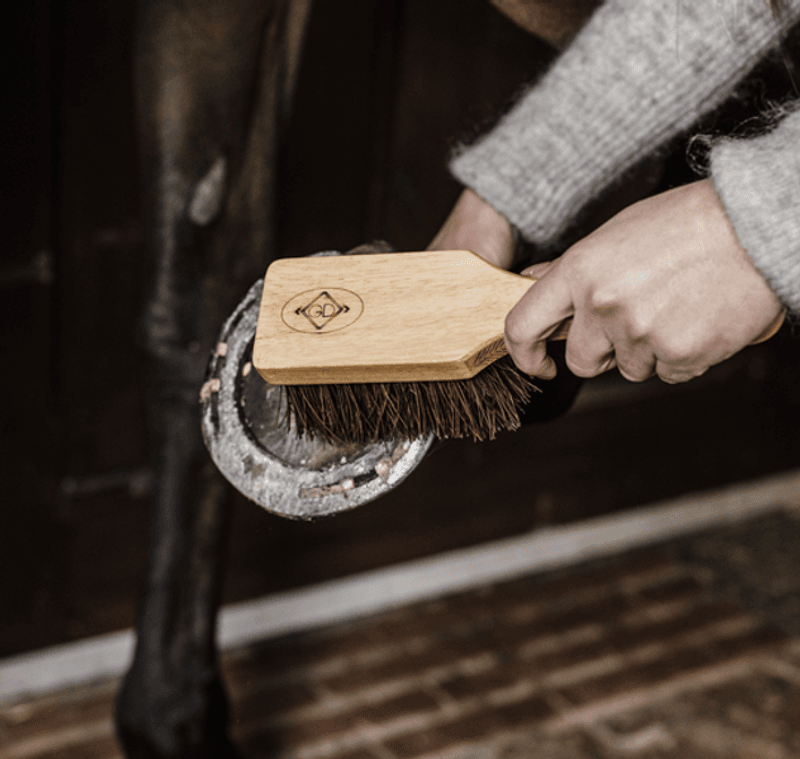 GROOMING DELUXE HOOF BRUSH
