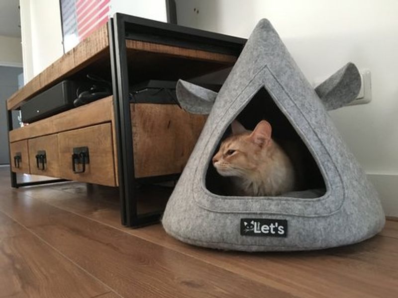 LETS SLEEP CAT CAVE TEEPEE