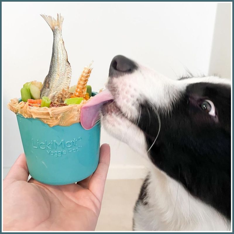 LICKIMAT YOGGIE POT BLÅ