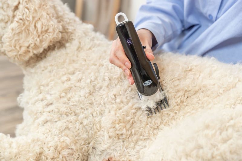 Klippemaskin TR1200 Trådløs 10W Hvit/Sort