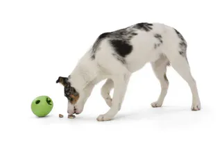 WEST PAW RUMBL TREAT TOY - SMALL 