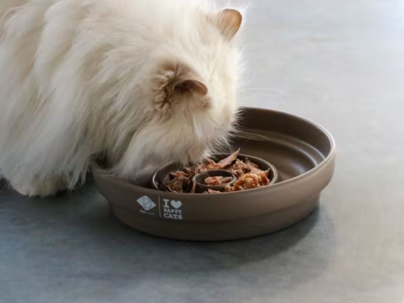 DUE CERAMIC SLOW FEEDER