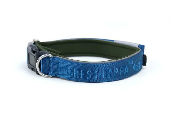 Hovedbilde GRESSHOPPA BEGNA HALSBÅND AQUA BLUE