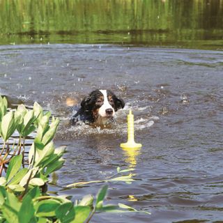 TRIXIE HUNDELEKE DOG ACTIVITY MOT-AQUA VANNLEKE 29CM